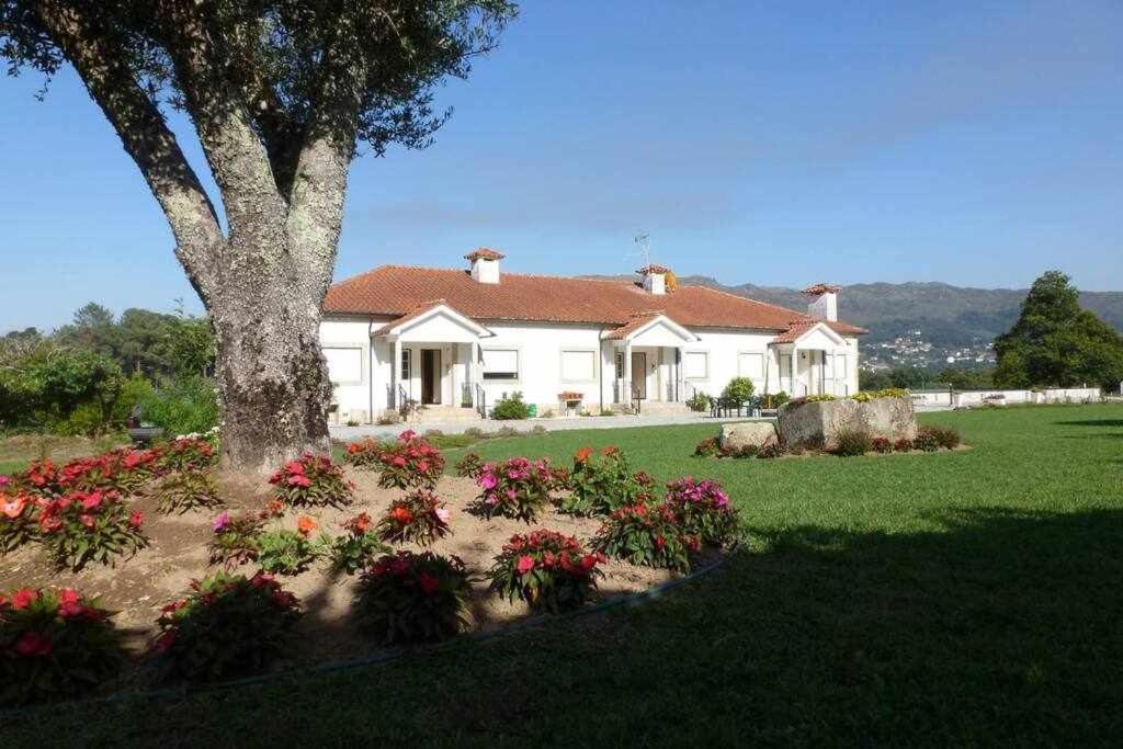 Quinta Dos Brazilaves - Ponte De Lima Apartment Exterior photo